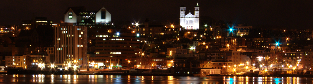 St. John's skyline